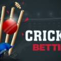 How to Choose the Best Online Cricket Betting Platform in India
